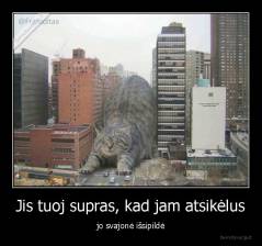 Jis tuoj supras, kad jam atsikėlus - jo svajonė išsipildė