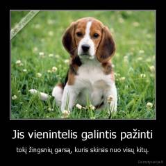 Jis vienintelis galintis pažinti - tokį žingsnių garsą, kuris skirsis nuo visų kitų.