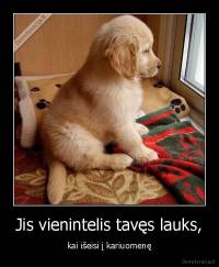 Jis vienintelis tavęs lauks, - kai išeisi į kariuomenę