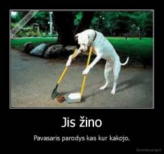 Jis žino - Pavasaris parodys kas kur kakojo.