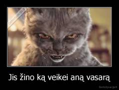 Jis žino ką veikei aną vasarą - 