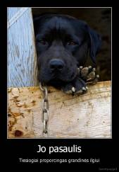 Jo pasaulis - Tiesiogiai proporcingas grandinės ilgiui