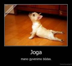 Joga - mano gyvenimo būdas.