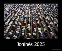Joninės 2025 - 