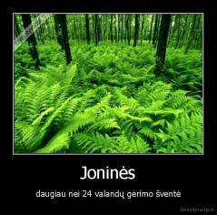 Joninės - daugiau nei 24 valandų gėrimo šventė