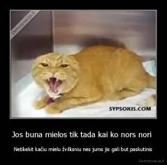 Jos buna mielos tik tada kai ko nors nori  - Netikekit kačiu mielu žvilksniu nes jums jis gali but paskutinis