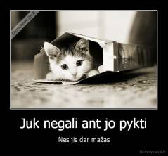 Juk negali ant jo pykti - Nes jis dar mažas