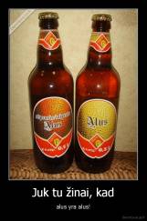 Juk tu žinai, kad - alus yra alus!
