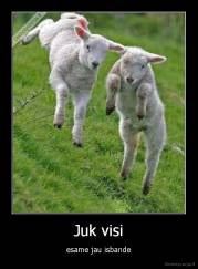 Juk visi - esame jau isbande