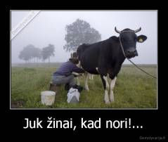 Juk žinai, kad nori!... - 