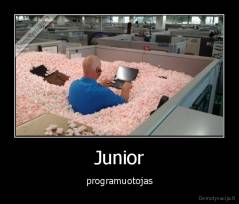 Junior - programuotojas