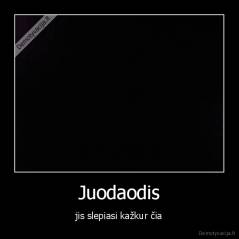Juodaodis - jis slepiasi kažkur čia