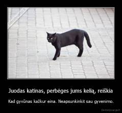 Juodas katinas, perbėges jums kelią, reiškia - Kad gyvūnas kažkur eina. Neapsunkinkit sau gyvenimo.