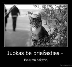 Juokas be priežasties -  - kvailumo požymis.