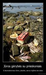 Jūros gėrybės su prieskoniais  - iš akumuliatoriaus švino, plastiko, sieros rūgšties bei stibio