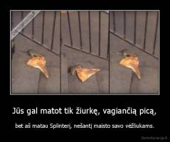 Jūs gal matot tik žiurkę, vagiančią picą, - bet aš matau Splinterį, nešantį maisto savo vėžliukams.