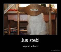 Jus stebi - slaptas katinas