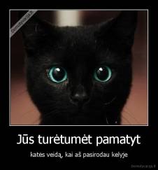 Jūs turėtumėt pamatyt - katės veidą, kai aš pasirodau kelyje