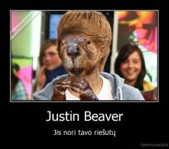Justin Beaver - Jis nori tavo riešutų