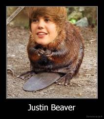 Justin Beaver - 