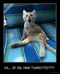 KA... IR VEL MAN TVARKYTIS????  - 