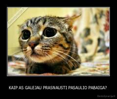 KAIP AS GALEJAU PRASNAUSTI PASAULIO PABAIGA?  - 