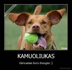 KAMUOLIUKAS - Geriuasias šuns draugas :)