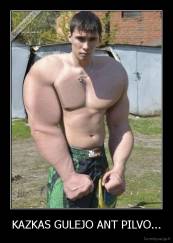 KAZKAS GULEJO ANT PILVO... - 