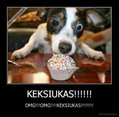 KEKSIUKAS!!!!!! - OMG!!!OMG!!!!KEKSIUKAS!!!!!!!!