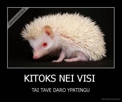 KITOKS NEI VISI  - TAI TAVE DARO YPATINGU
