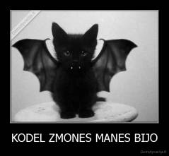 KODEL ZMONES MANES BIJO - 