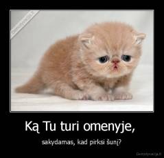 Ką Tu turi omenyje,  - sakydamas, kad pirksi šunį?