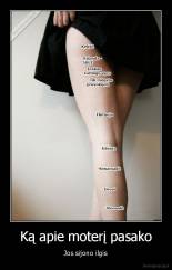 Ką apie moterį pasako - Jos sijono ilgis