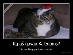 Ką aš gavau Kalėdoms? - Svorio! Daug papildomo svorio!
