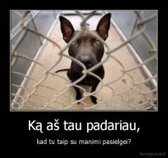 Ką aš tau padariau, - kad tu taip su manimi pasielgei?