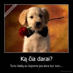 Ką čia darai? - Turiu bėdą su kojomis jos eina kur nori...