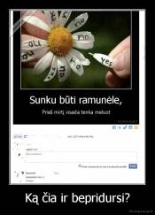 Ką čia ir bepridursi? - 