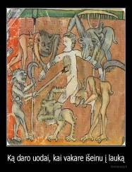 Ką daro uodai, kai vakare išeinu į lauką - 