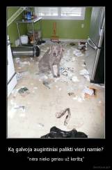 Ką galvoja augintiniai palikti vieni namie? - "nėra nieko geriau už kerštą''