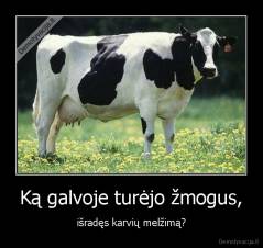 Ką galvoje turėjo žmogus, - išradęs karvių melžimą?