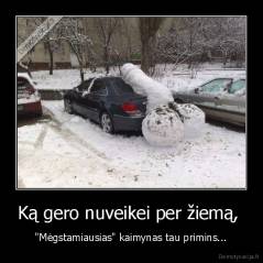 Ką gero nuveikei per žiemą,  - "Mėgstamiausias" kaimynas tau primins...