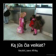 Ką jūs čia veikiat? - Varykit į savo Afriką