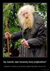 Ką manote apie benamių šunų priglaudima? - Priglauskim ir bomžus, juk jie kaip šunys, taippat valgo šūdus ir šika kur nori