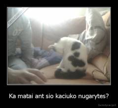 Ka matai ant sio kaciuko nugarytes? - 
