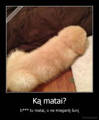 Ką matai? - b*** tu matai, o ne miegantį šunį