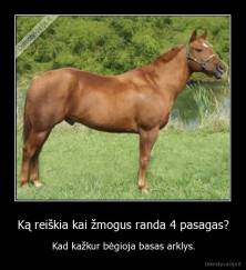 Ką reiškia kai žmogus randa 4 pasagas? - Kad kažkur bėgioja basas arklys.