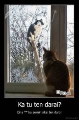 Ka tu ten darai? - Eina ** ka seimininkai ten daro!