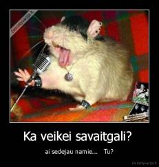 Ka veikei savaitgali?  - ai sedejau namie...   Tu?