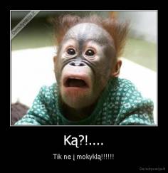 Ką?!.... - Tik ne į mokyklą!!!!!!