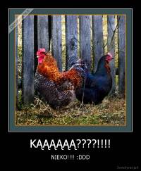 KĄĄĄĄĄĄ????!!!! - NIEKO!!!! :DDD